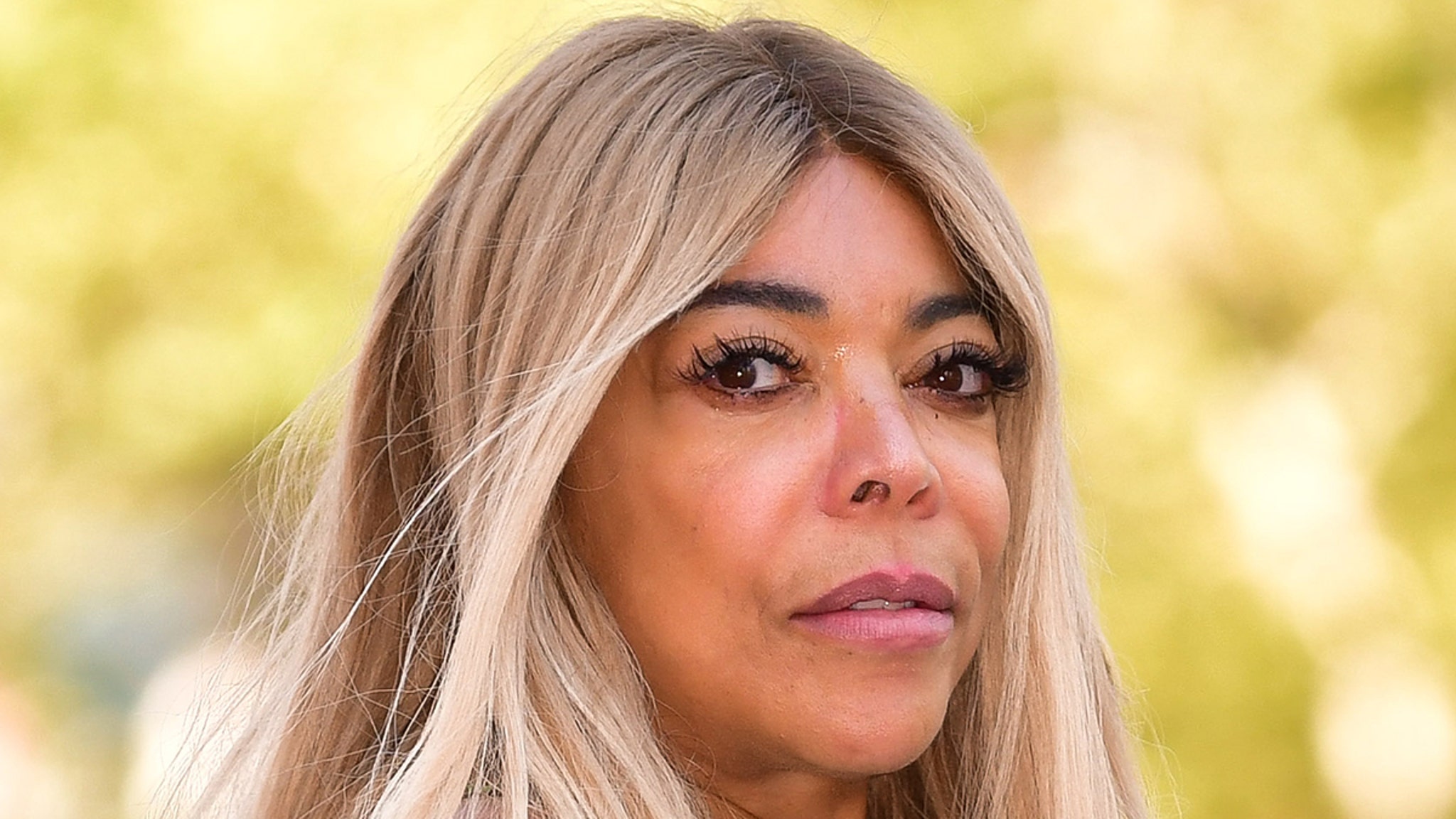 Wendy Williams Guardianship Investigation Sparked by Letter to Adult Protective Services