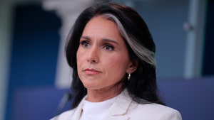 main tulsi gabbard getty