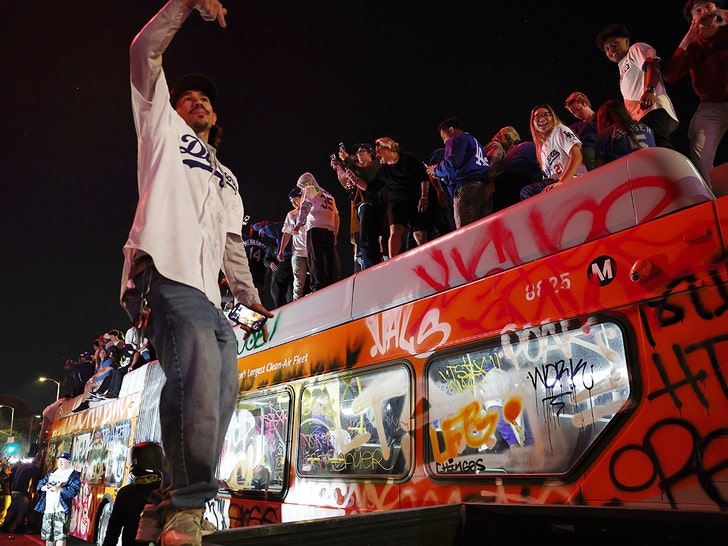 Chaos Ensues Across L.A. After Dodgers Win World Series, Footage Shows