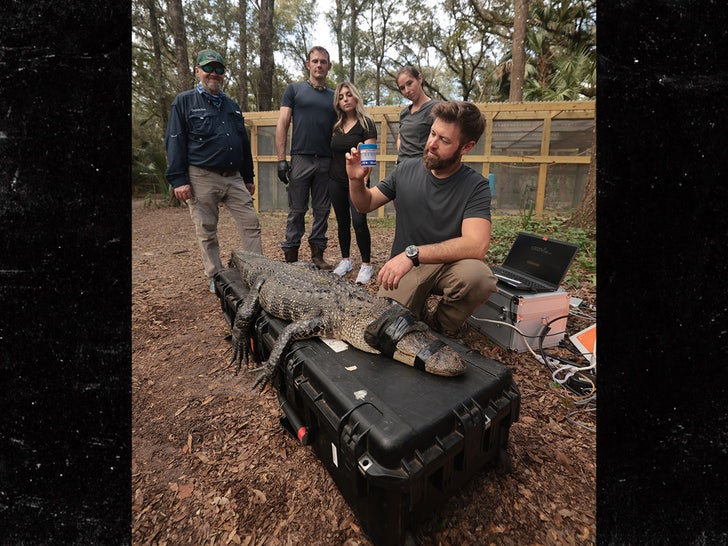 alligator Warner Bros Discovery
