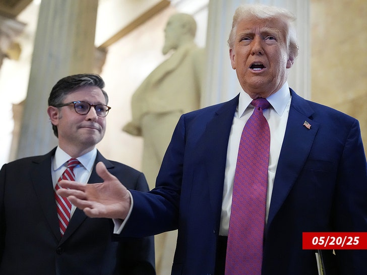 donald trump mike johnson getty 2