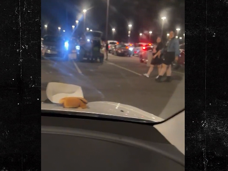 021226 Cardi Parking Fight SG3