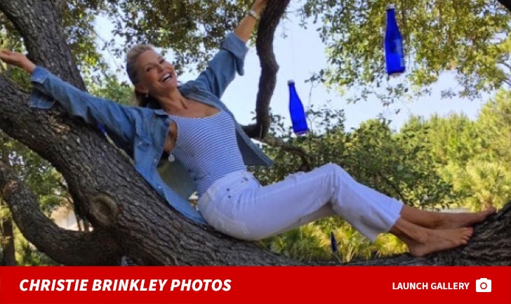 Christie Brinkley's Hot Shots