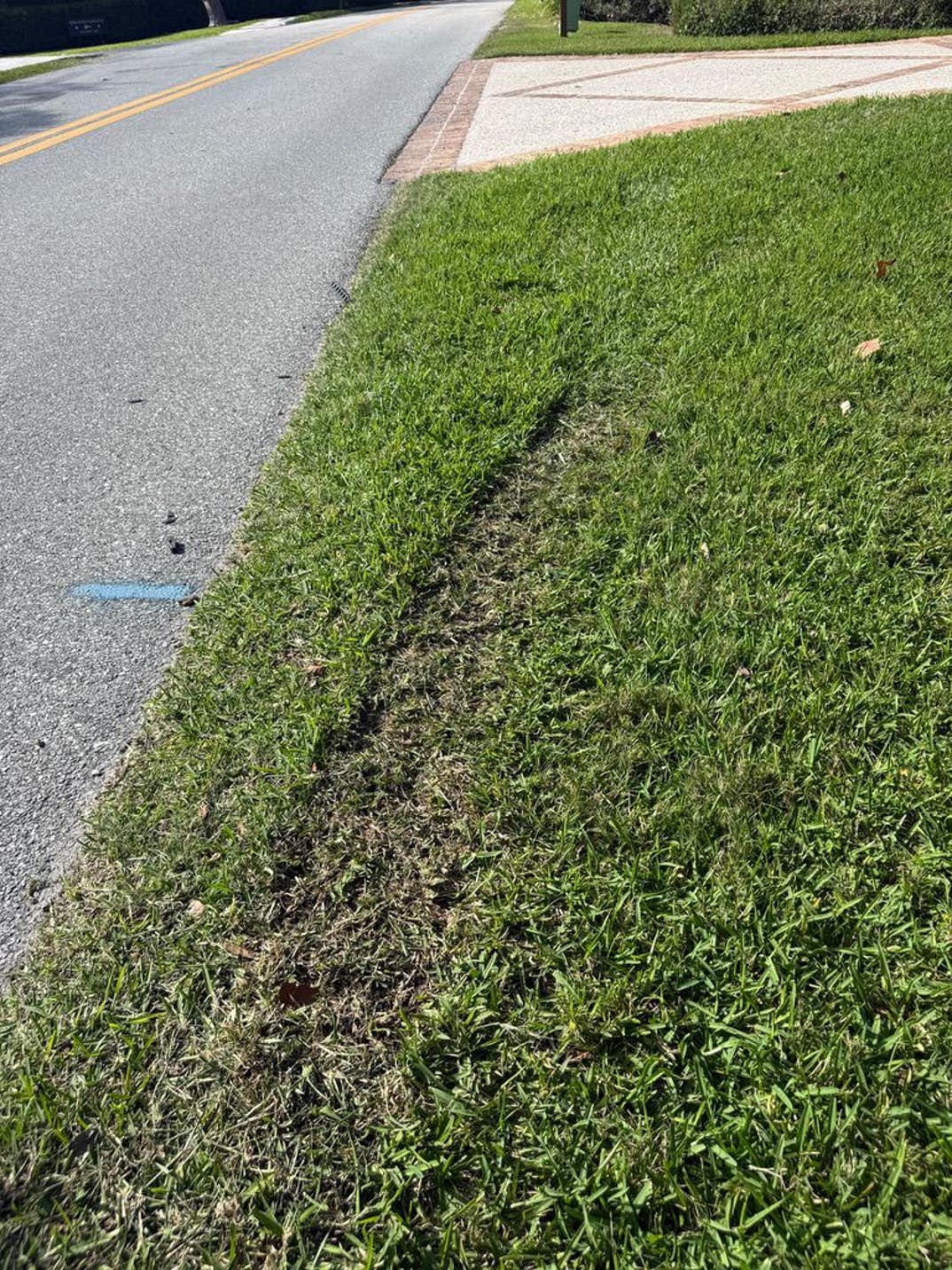 Tiger Woods Jupiter Florida DUI Crash Aftermath 0