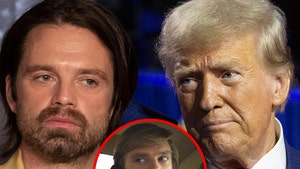 sebastian stan donald trump