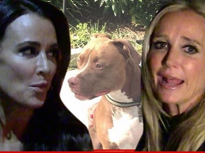 1107-kyle-richards-tmz-instagram-01