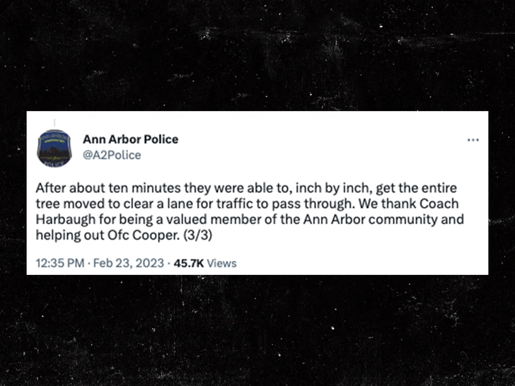 Ann Arbor Police