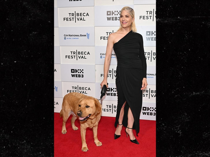 selma blair and dog on red carpet