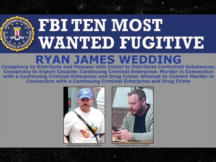 Ryan James Wedding FBI Sub