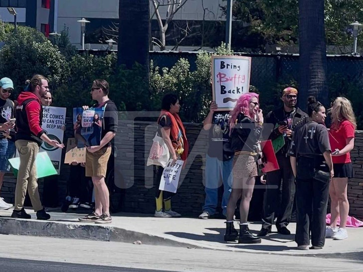 buffy-protesters-hulu-tmz-1