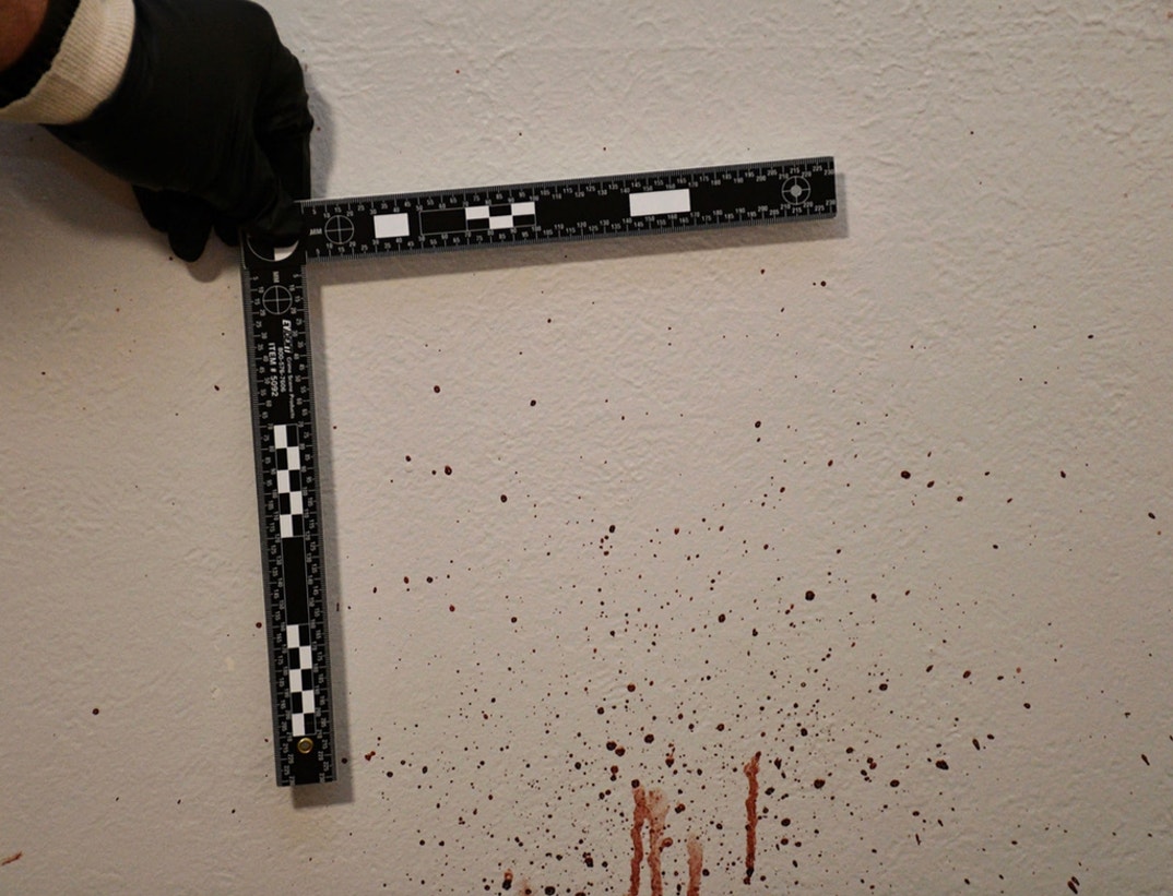 Bryan Kohberger Graphic Crime Scene Photos 2