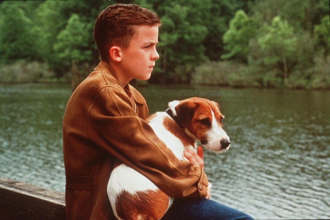 Frankie Muniz Through The Years 3