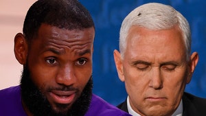 LeBron James Clowns Mike Pence Over Debate Housefly, You're Crap!