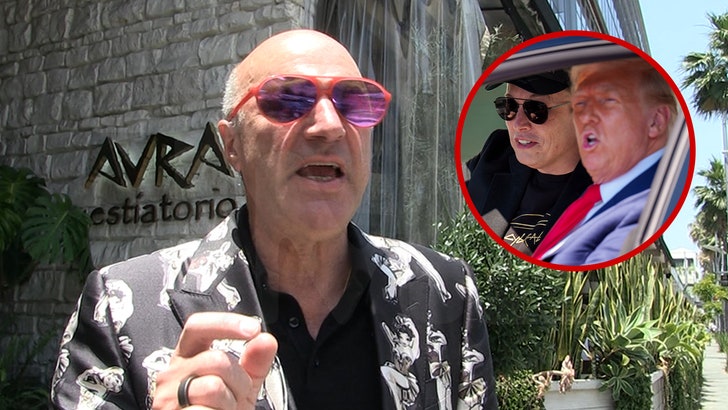 Kevin O’Leary Says Trump & Musk Need to Kiss and Make Up for America’s Sake Kevin O’Leary Says Trump & Musk Need to Kiss and Make Up for America’s Sake