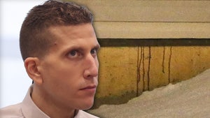 bryan kohberger blood on wall main getty backgrid composite