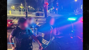 reiner arrested instagram 2