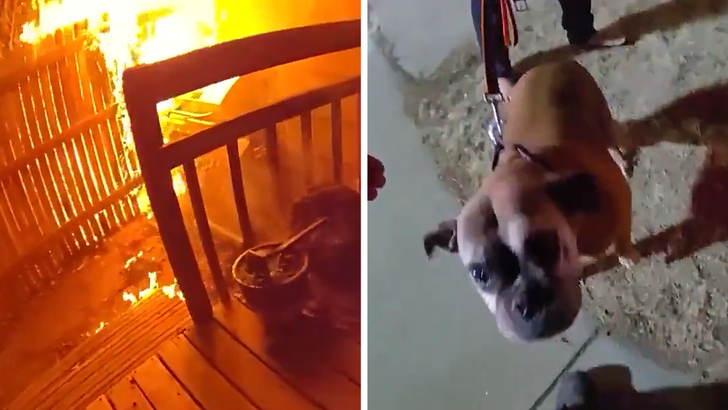 051326 dog fire rescue kal