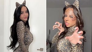 Stella Hudgens vs. Kayla Richart -- Sexy Cats Edition