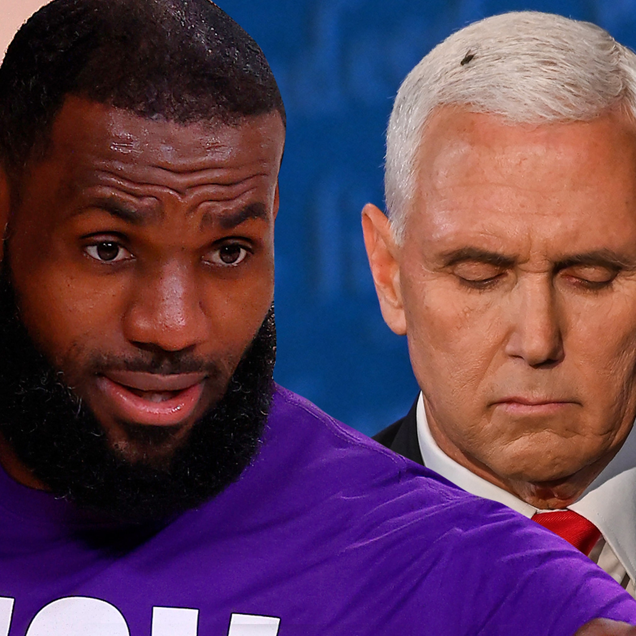 Lakers' LeBron James takes aim at Mike Pence using viral fly