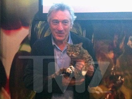 0423-robert-de-niro-lil-bub-tmz