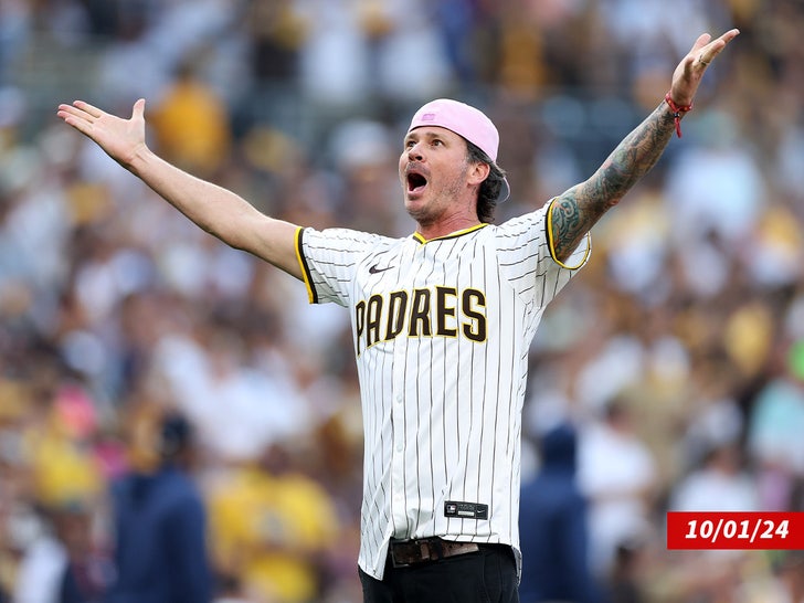 tom delonge singing national anthem sub