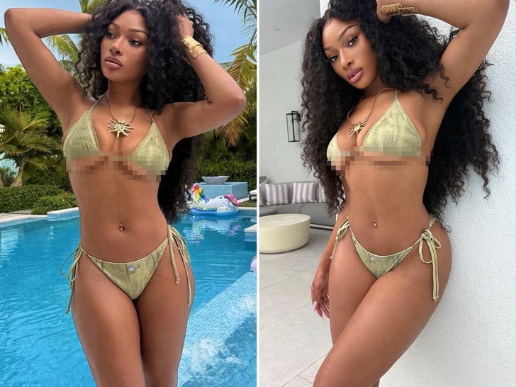 Megan Thee Stallion's Hot Shots