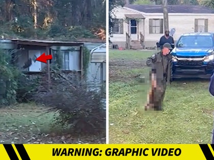 monkey-shot-primary-11-04-2025