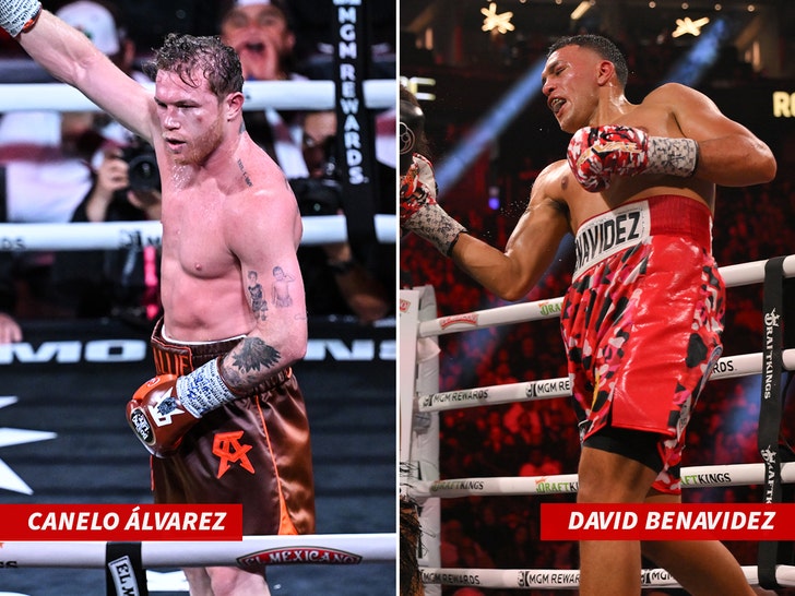 Canelo Álvarez david benavidez getty
