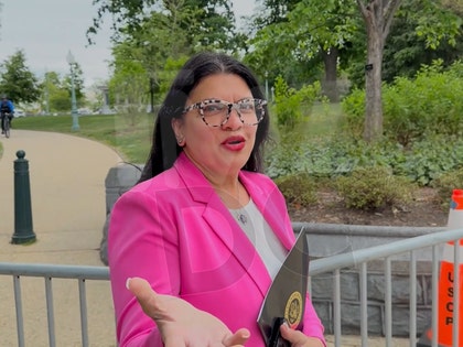 rashida-tlaib-primary-v2