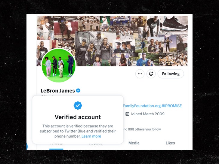 LeBron James and others impersonated by verified Twitter accounts