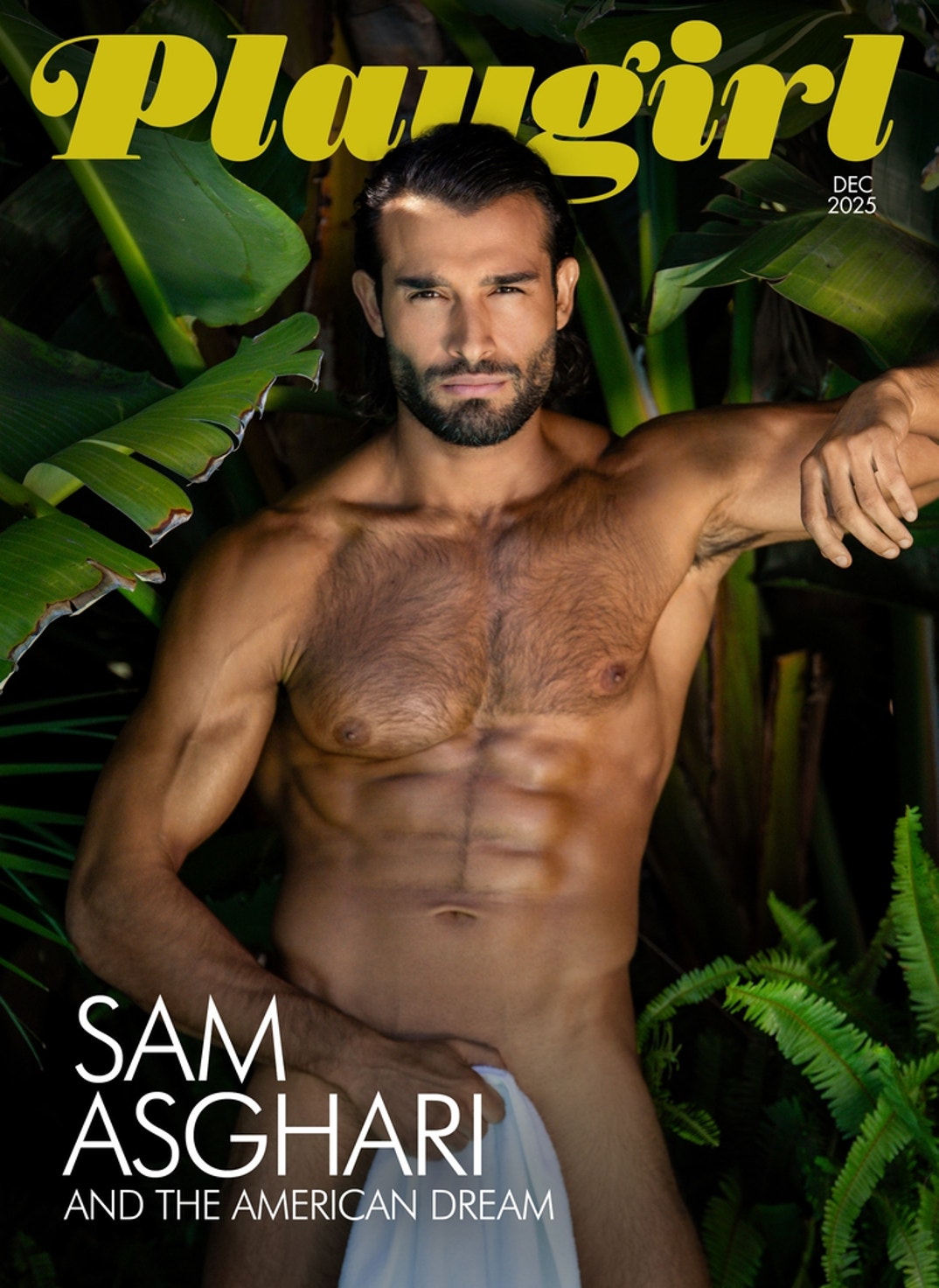 Sam Asghari Playgirl 0