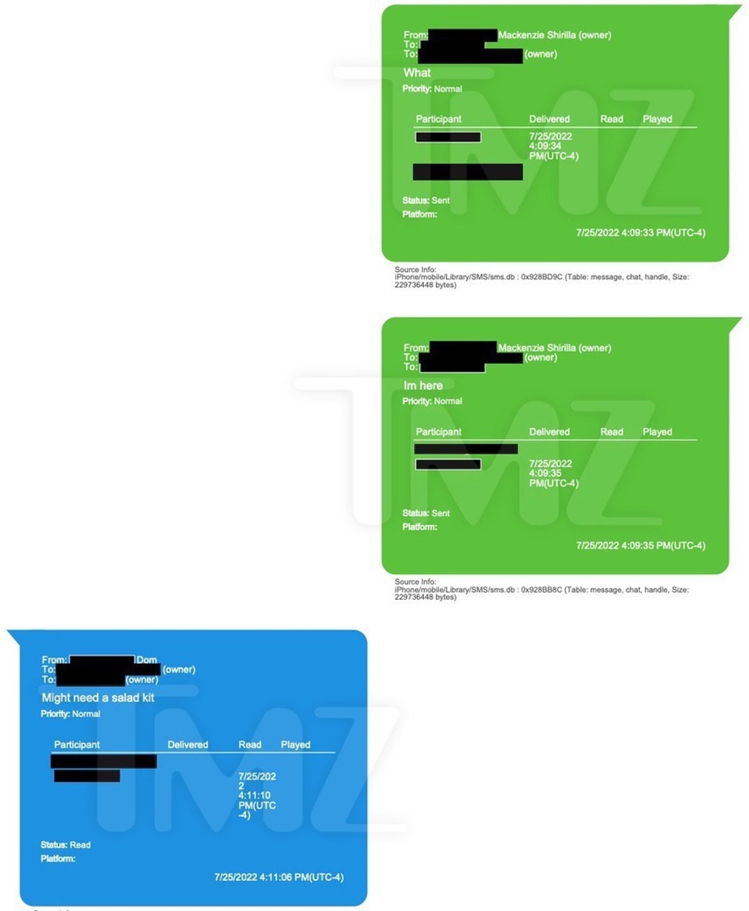 Mackeznie Shirilla Last Texts With Dominic Russo 11