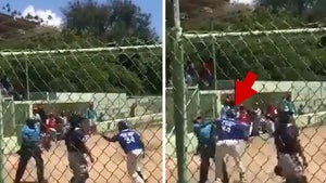 Baseball Player Violently Attacks Ump With Bat In D.R., Reportedly Arrested