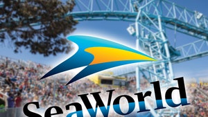 SeaWorld's 6-Year-Old Orca, Amaya, Dead