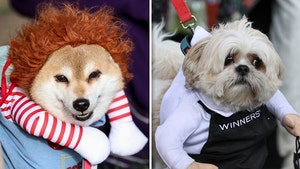 Howl'oween Festival in Toronto - Dog in Costumes