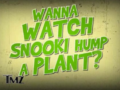 070711_TV_snooki_v2_still
