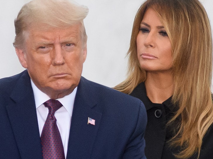 1001 donald melania trump getty