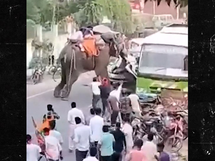 101424-elephant-car-3