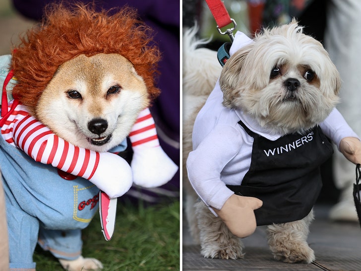 Howl'oween Festival in Toronto - Dog in Costumes