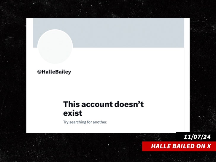 halle bailey x account 1