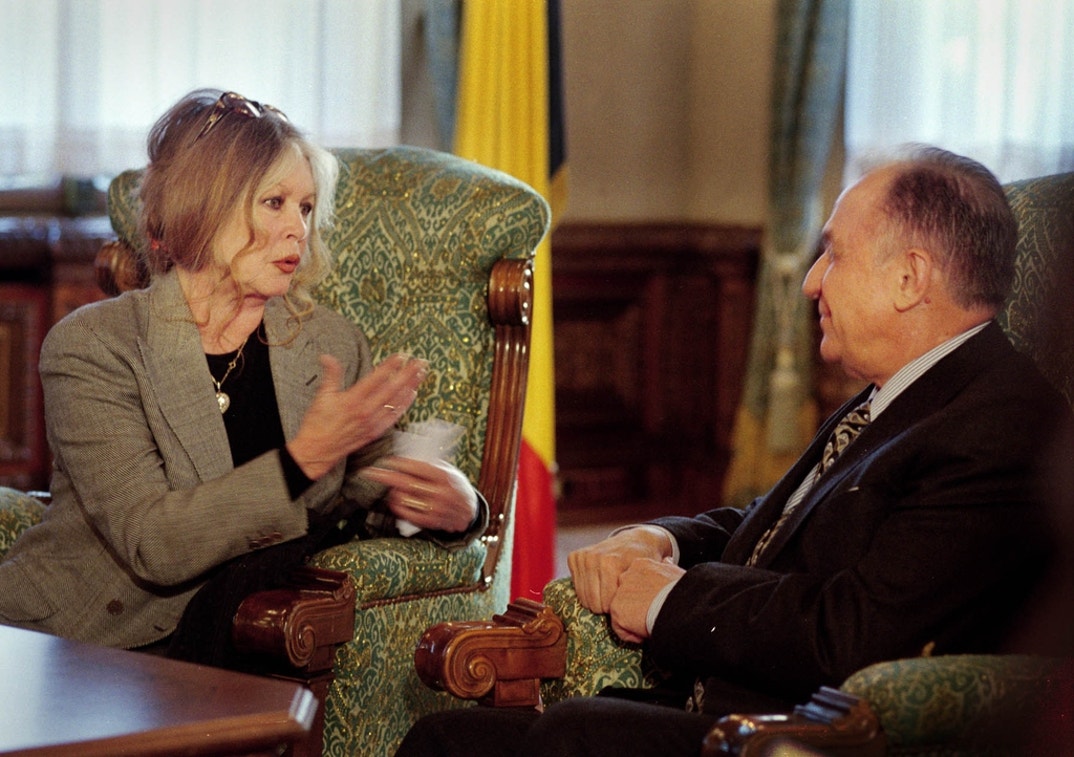 Brigitte Bardot Through The Years 1