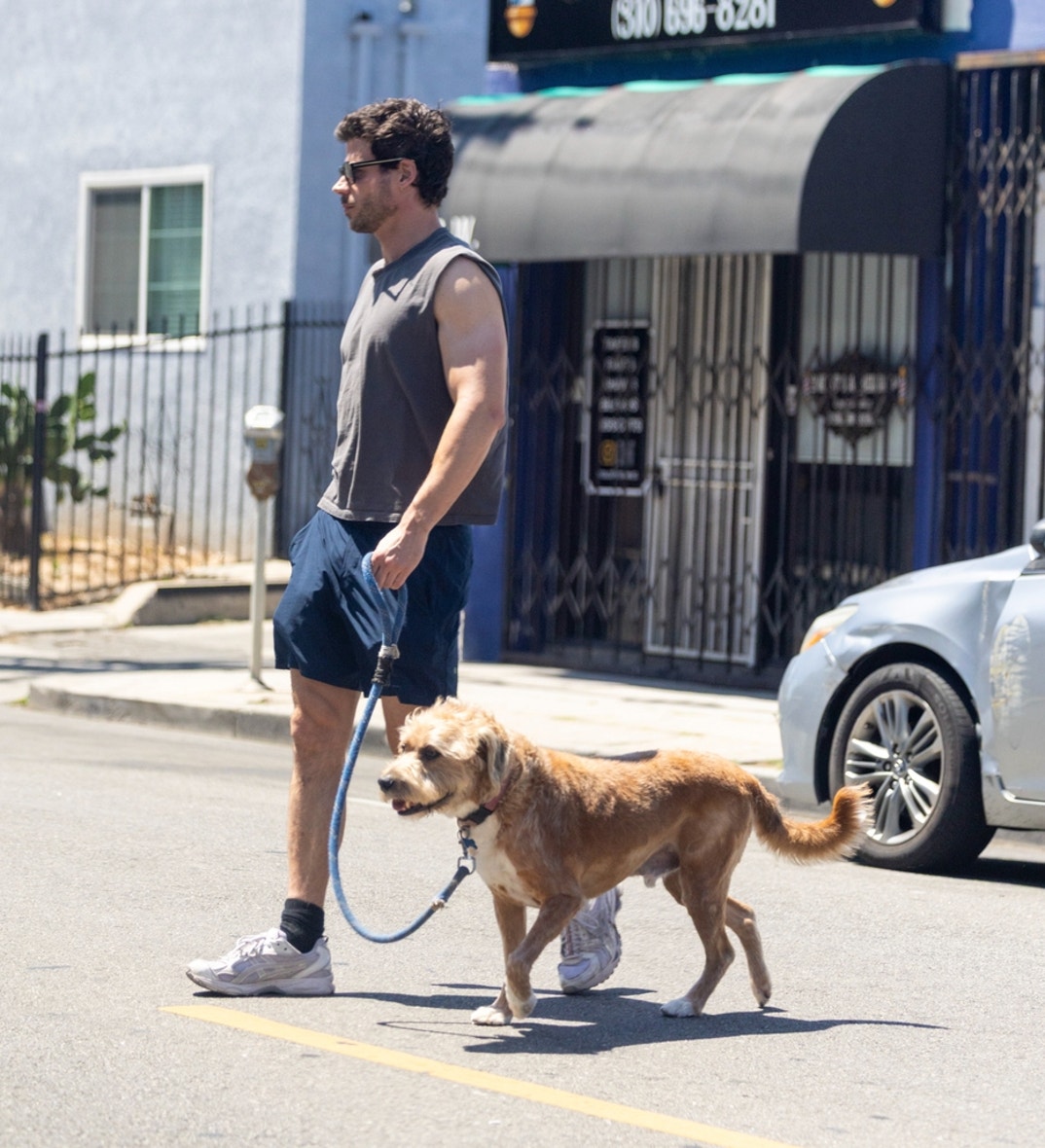 FranCois Arnaud Dog Walk 4