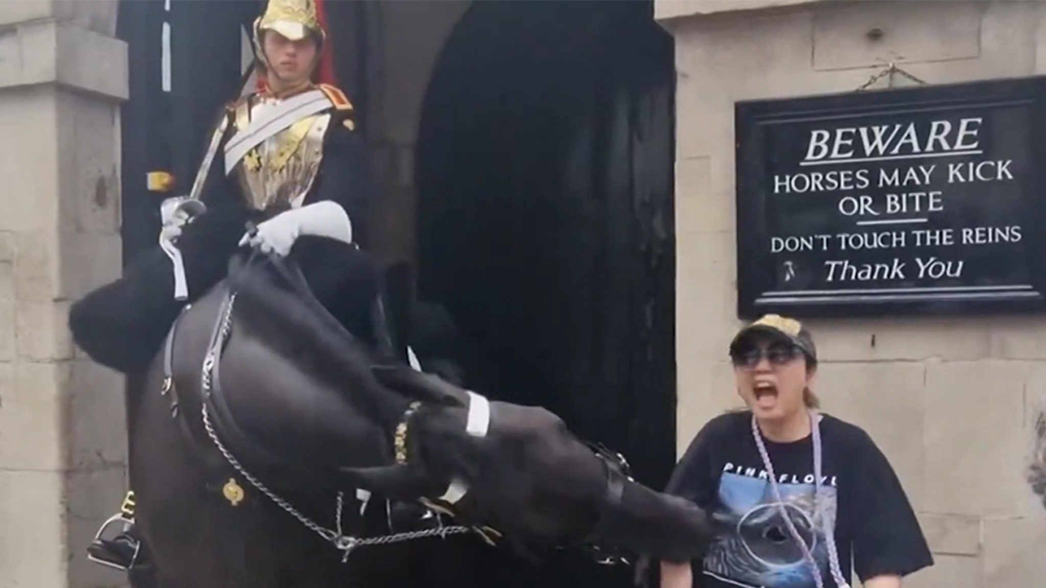 King Charles guard horse bites tourist (video)