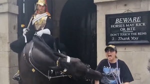 King Charles' Guard Horse Bites Unsuspecting Tourist