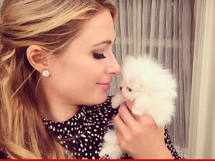 0107-paris-hilton-puppy-instagram-01