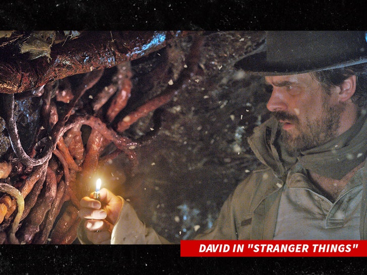 david harbour in stranger things everett 1