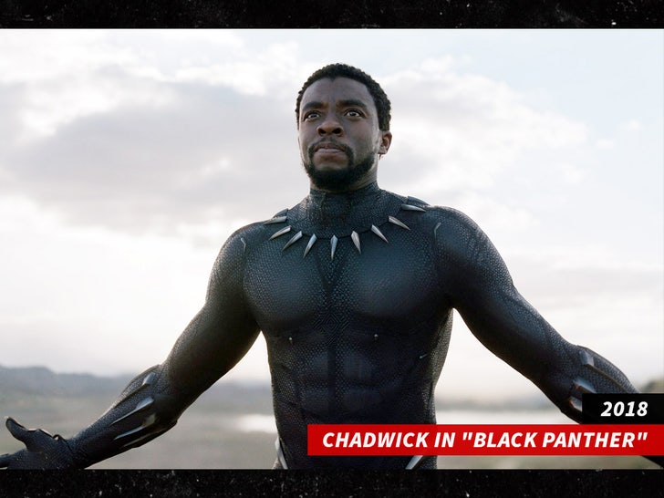 chadwick boseman black panther everett collection sub swipe