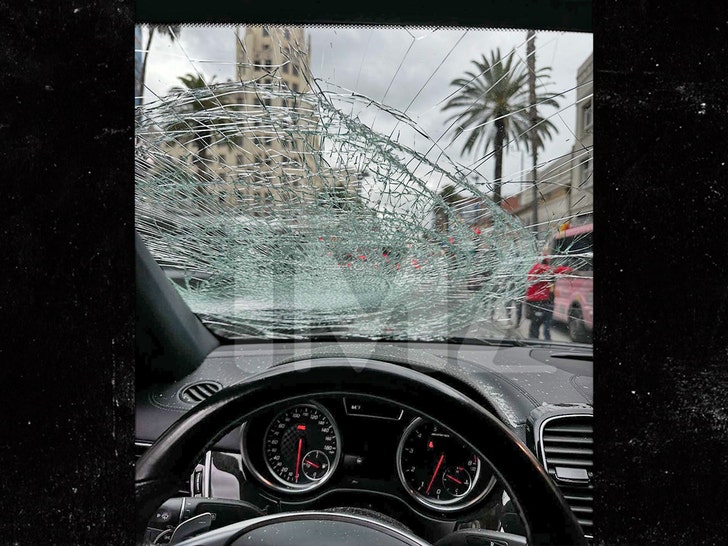 Ian Ziering car broken winshield handout 1