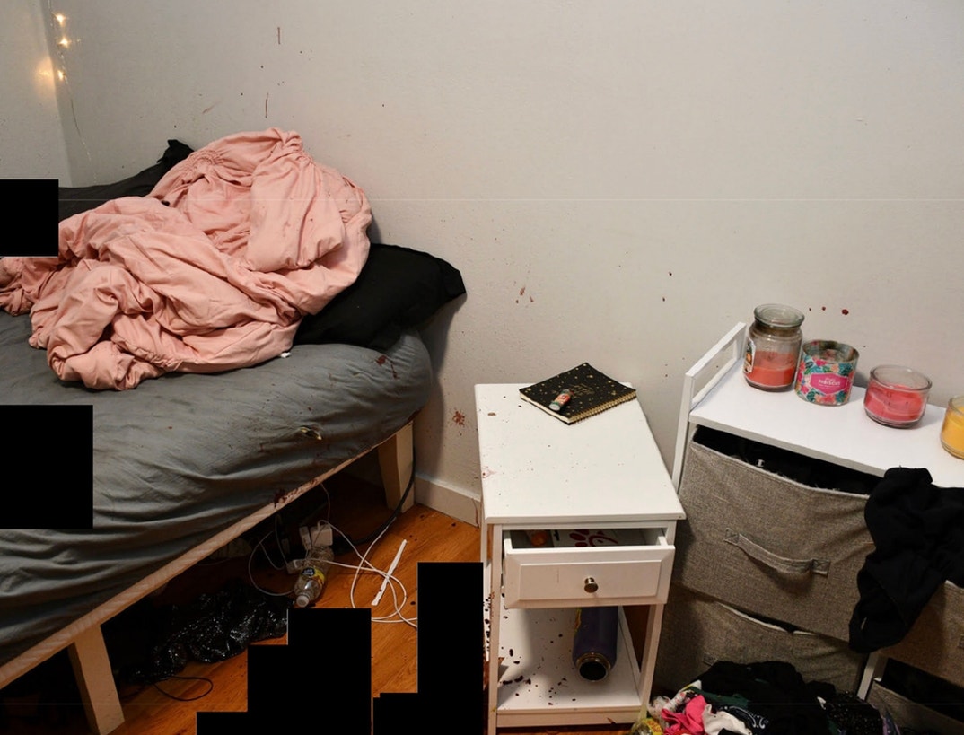 Bryan Kohberger Graphic Crime Scene Photos 11