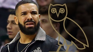 Drake's Company OVO Sues Merch Companies Over Owl Logo